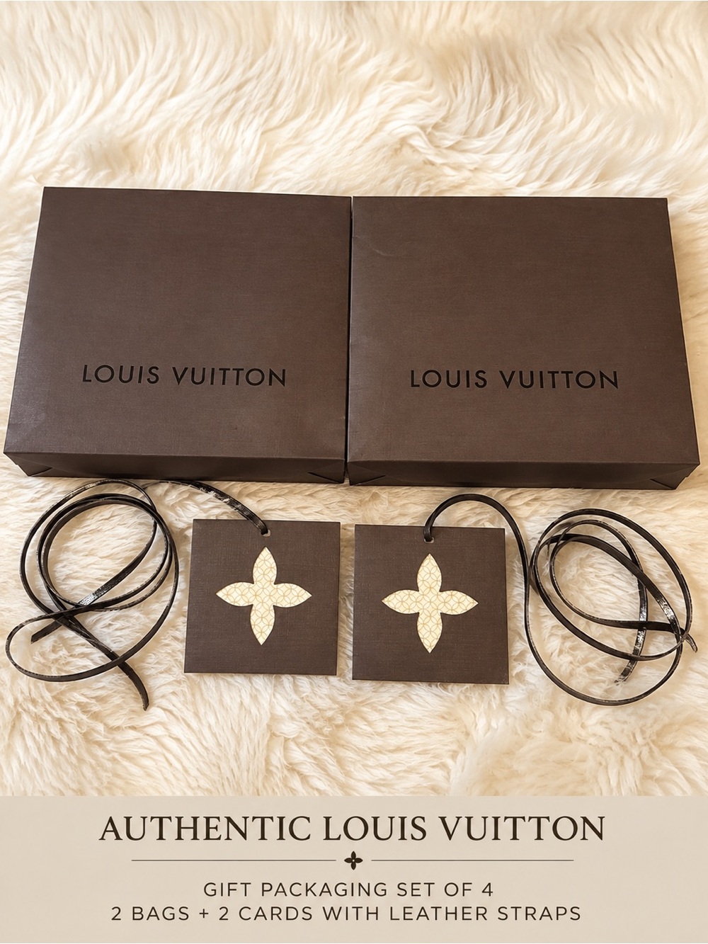 Louis Vuitton Authentic Gift Packaging Bags & Cards Set of 2